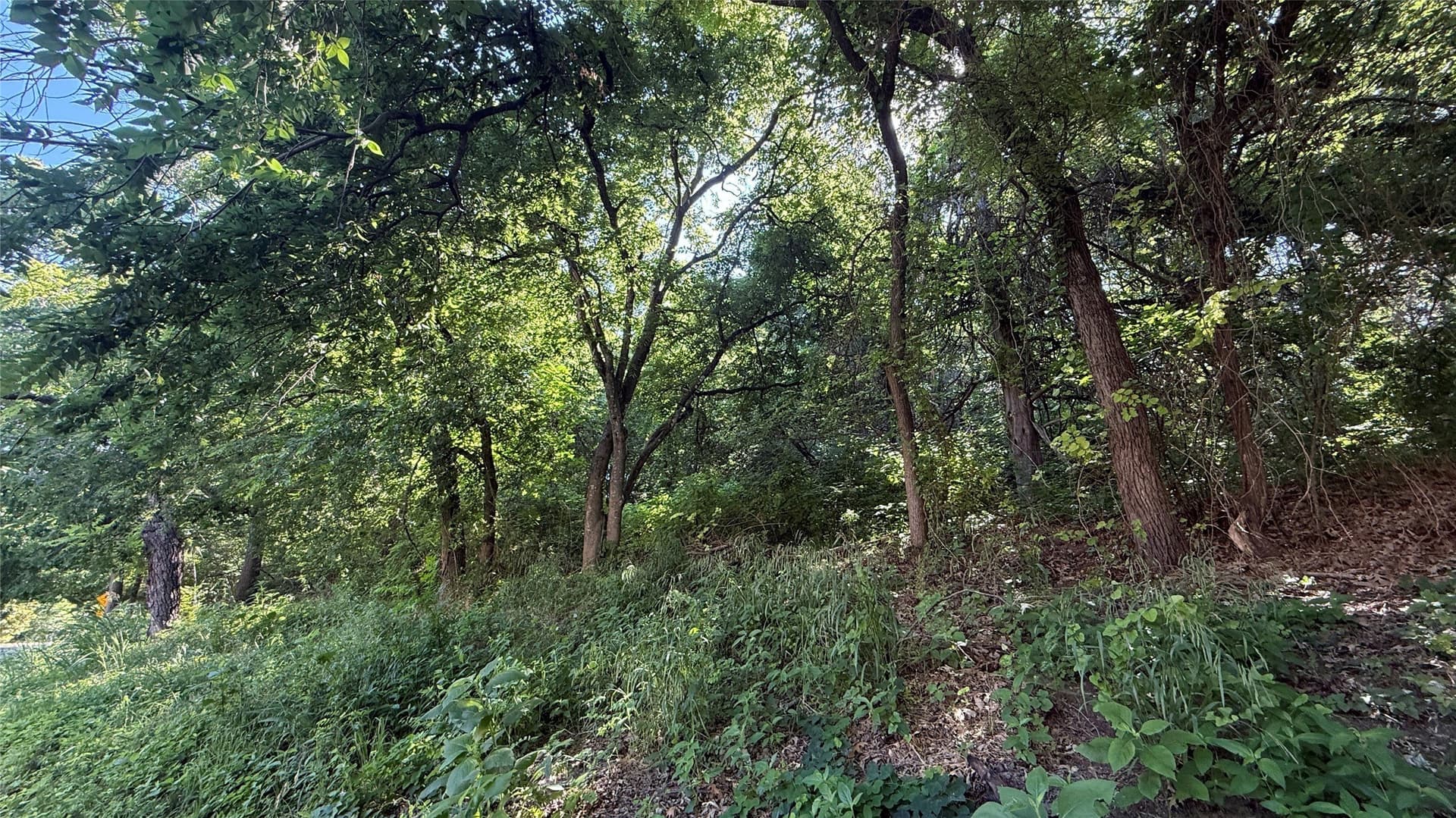 0.42 acres in Dallas County - photo 7