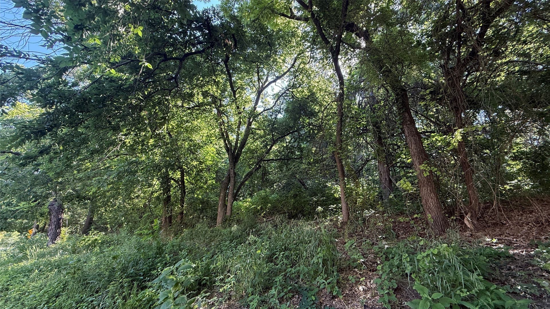 0.42 acres in Dallas County gallery image 2