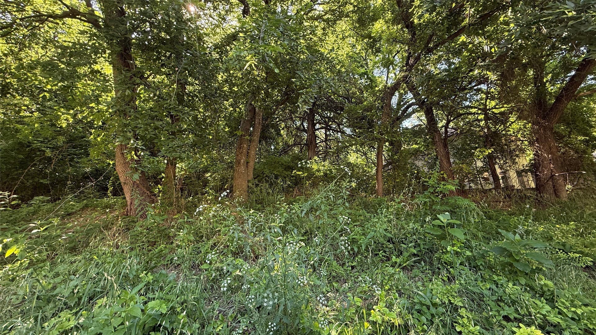 0.42 acres in Dallas County - photo 6