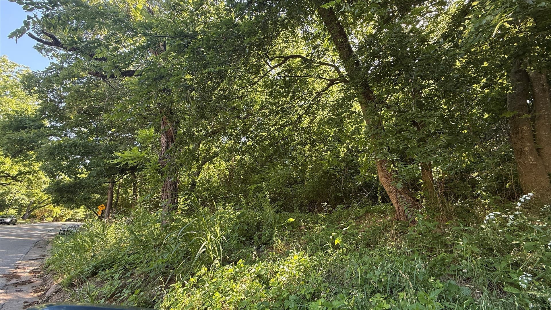 0.42 acres in Dallas County gallery image 4