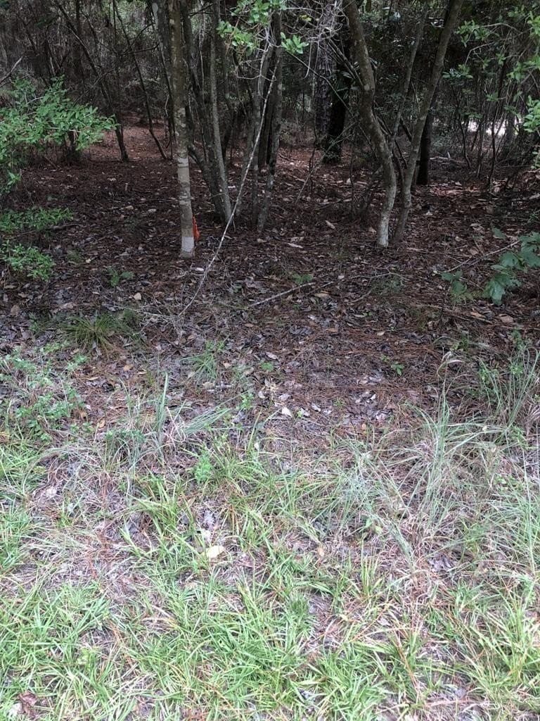 0.23 acres in Texas County