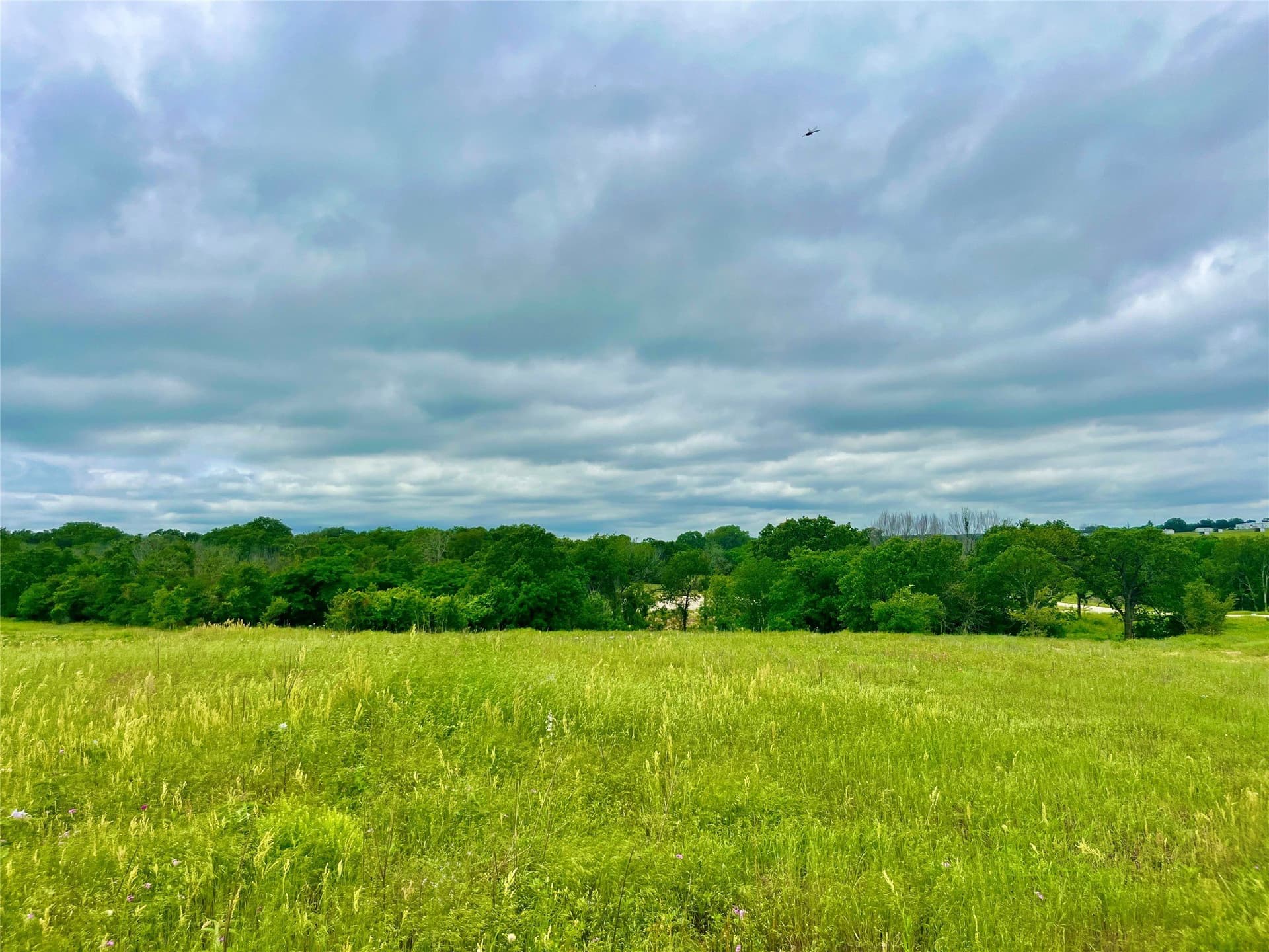 2.06 acres in Parker County - photo 3