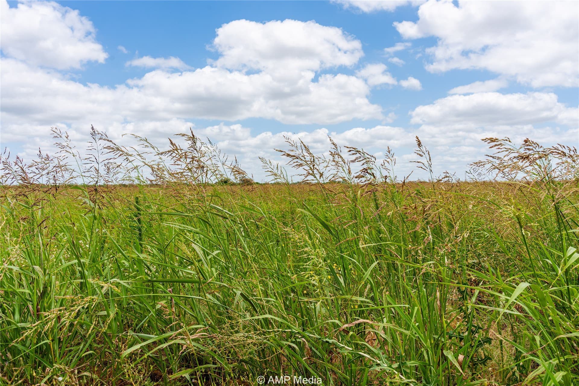 13.03 acres in Jones County - photo 7