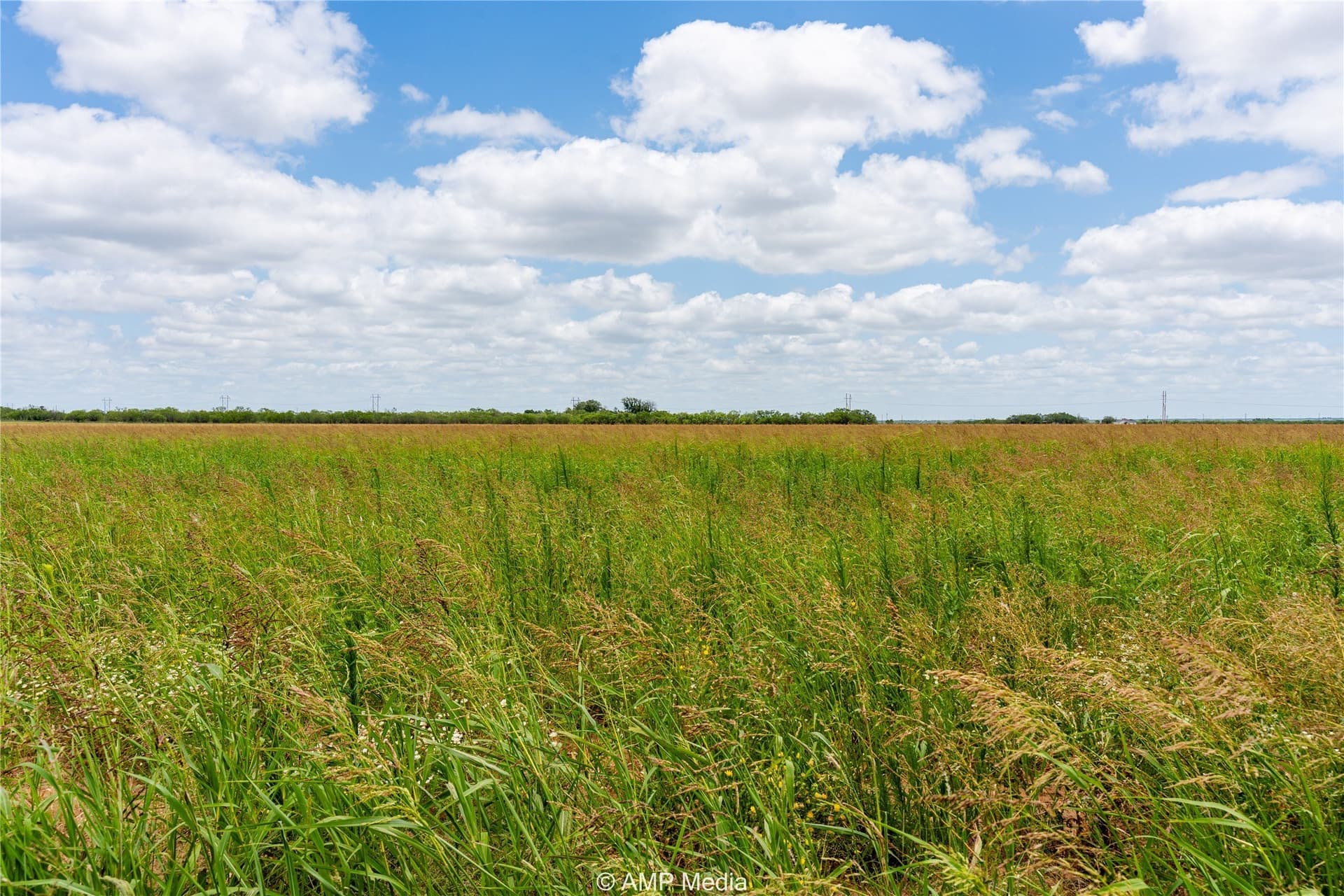 13.03 acres in Jones County - photo 4
