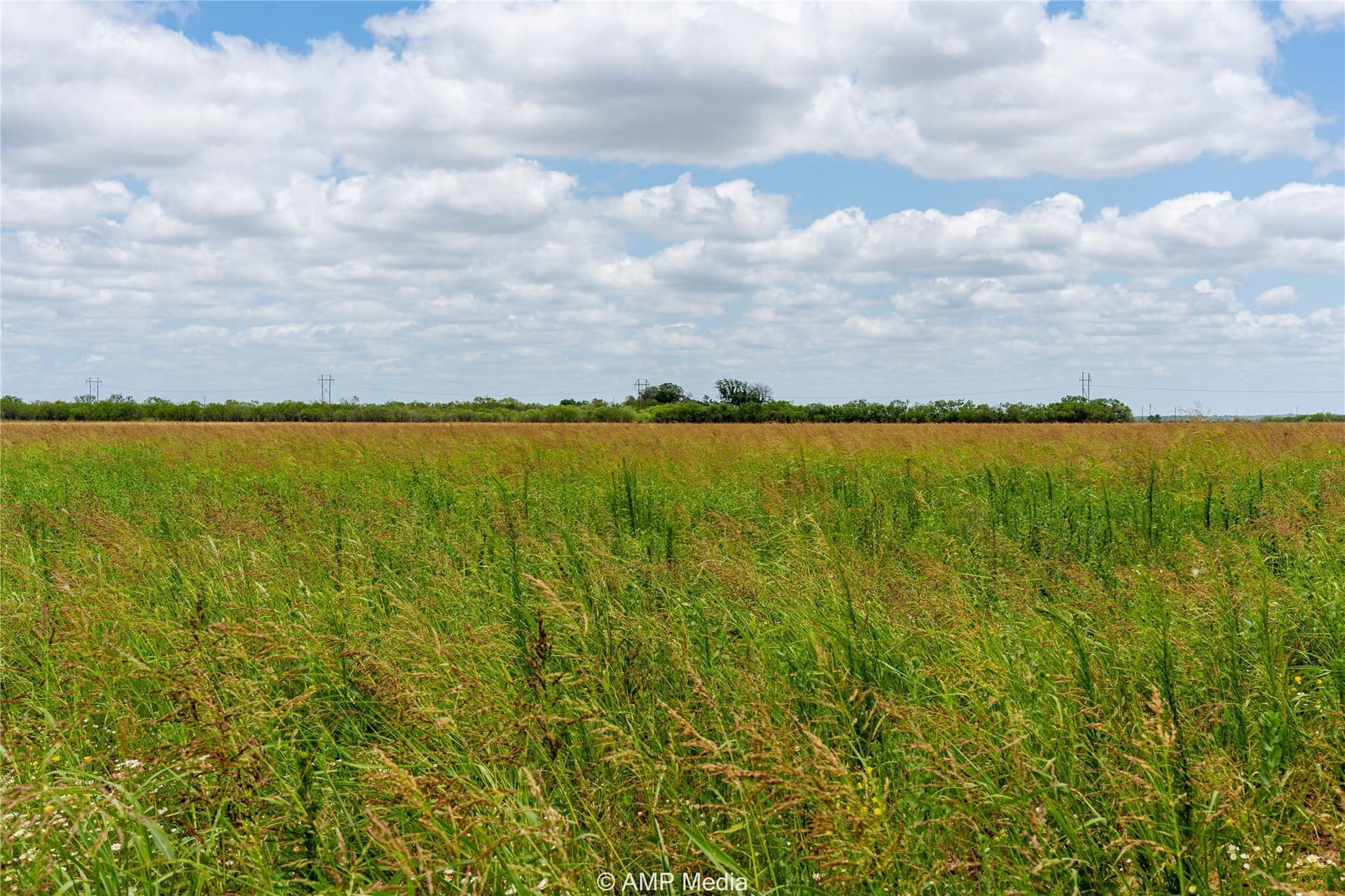 13.03 acres in Jones County - photo 5