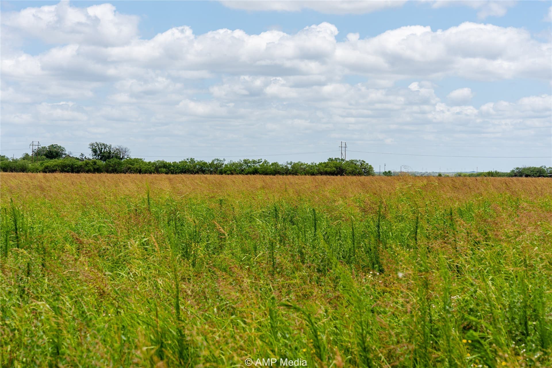 13.03 acres in Jones County - photo 6