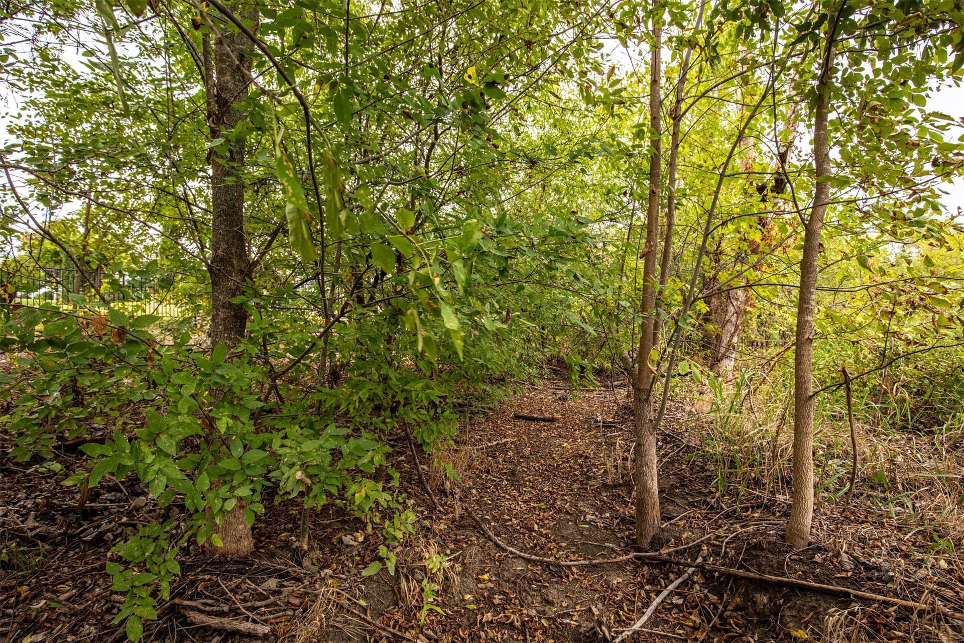 1.92 acres in Collin County - photo 20