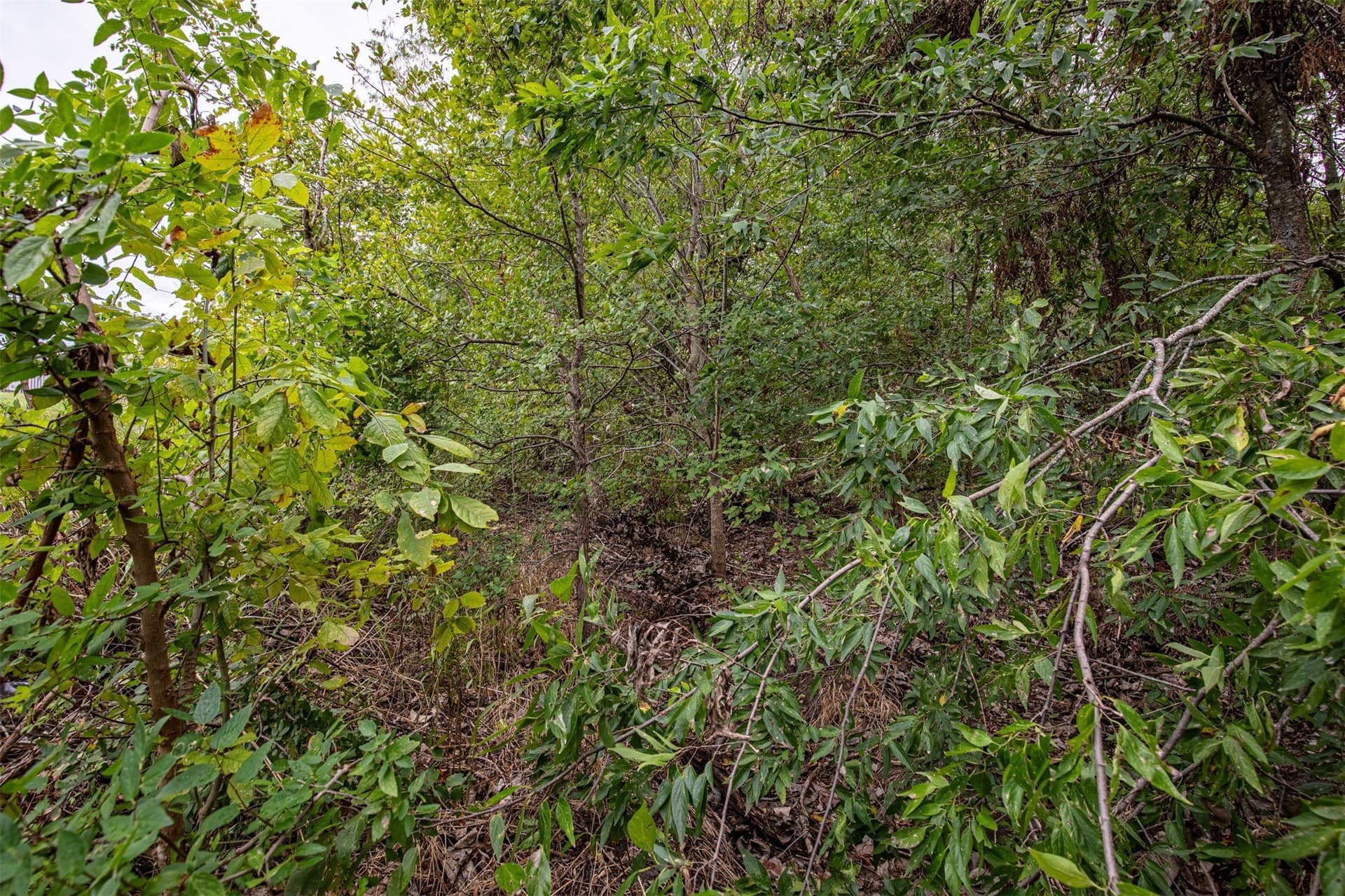1.92 acres in Collin County - photo 21