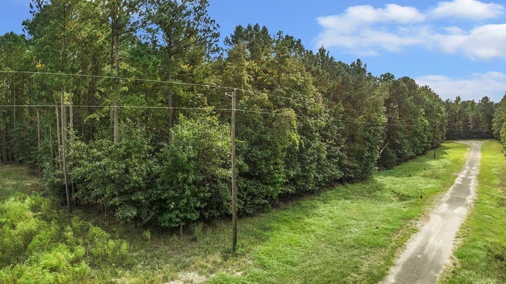 5 acres in Texas County - photo 2