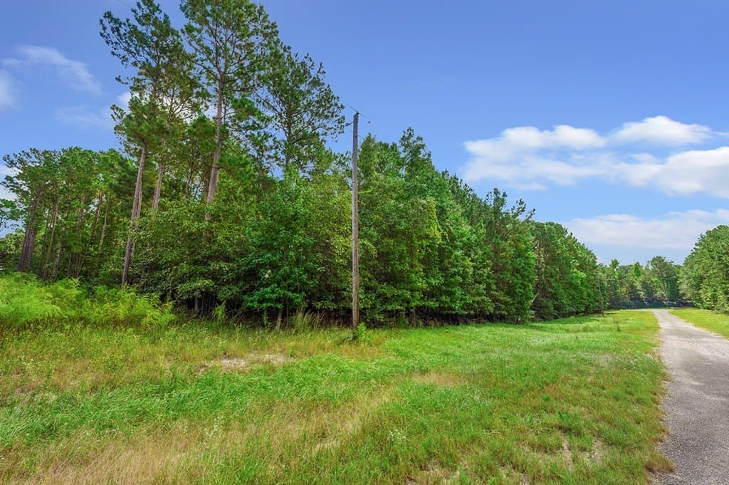 5 acres in Texas County - photo 7