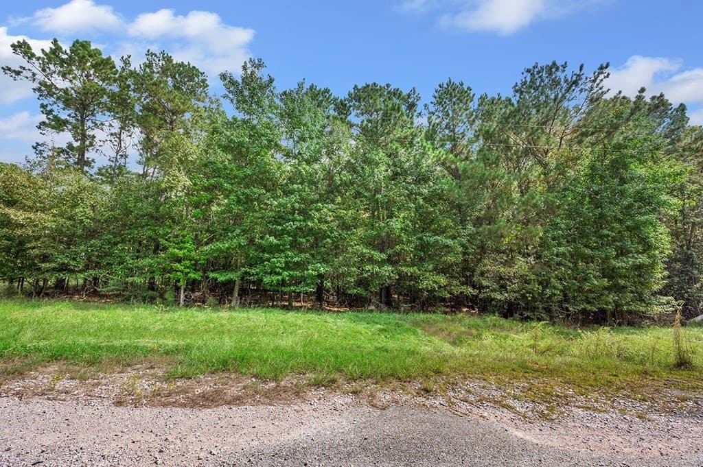 5 acres in Texas County - photo 8