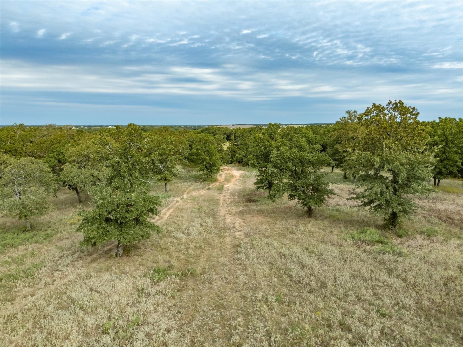 30 acres in Wise County - photo 14