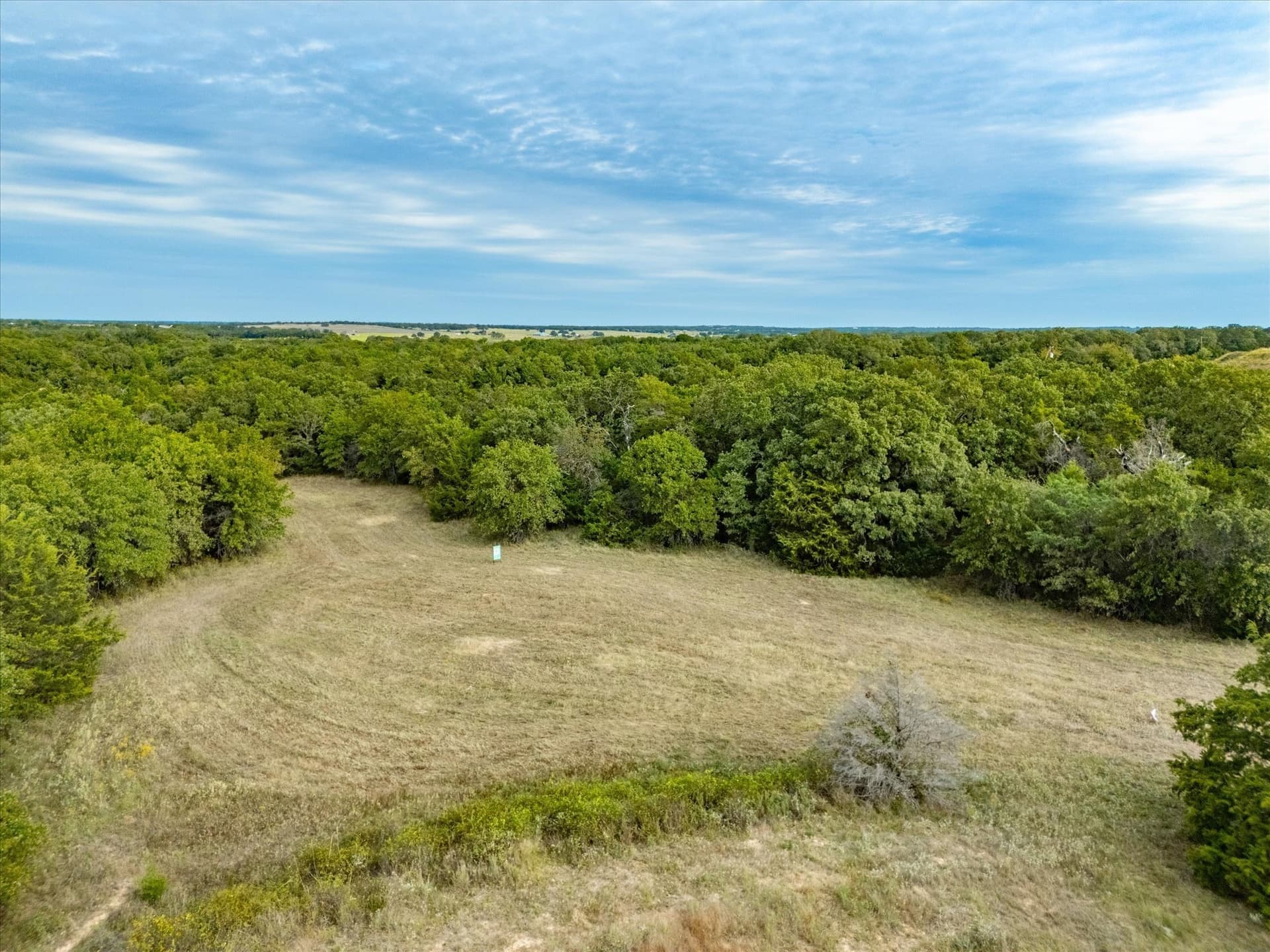 30 acres in Wise County - photo 12