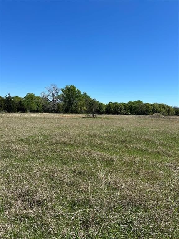 2.92 acres in Montague County gallery image 3