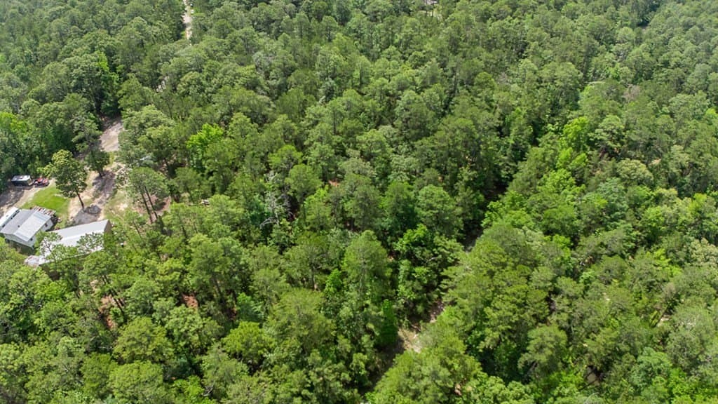 0.24 acres in Texas County - photo 7