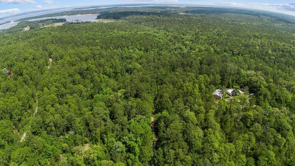 0.24 acres in Texas County gallery image 2
