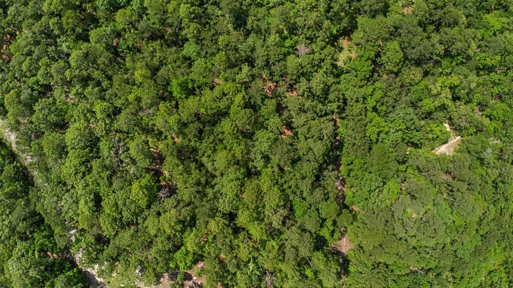 0.24 acres in Texas County gallery image 4