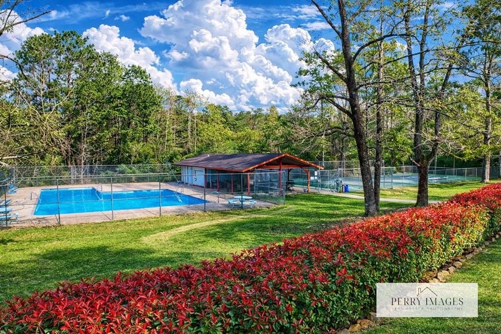 0.24 acres in Texas County - photo 13