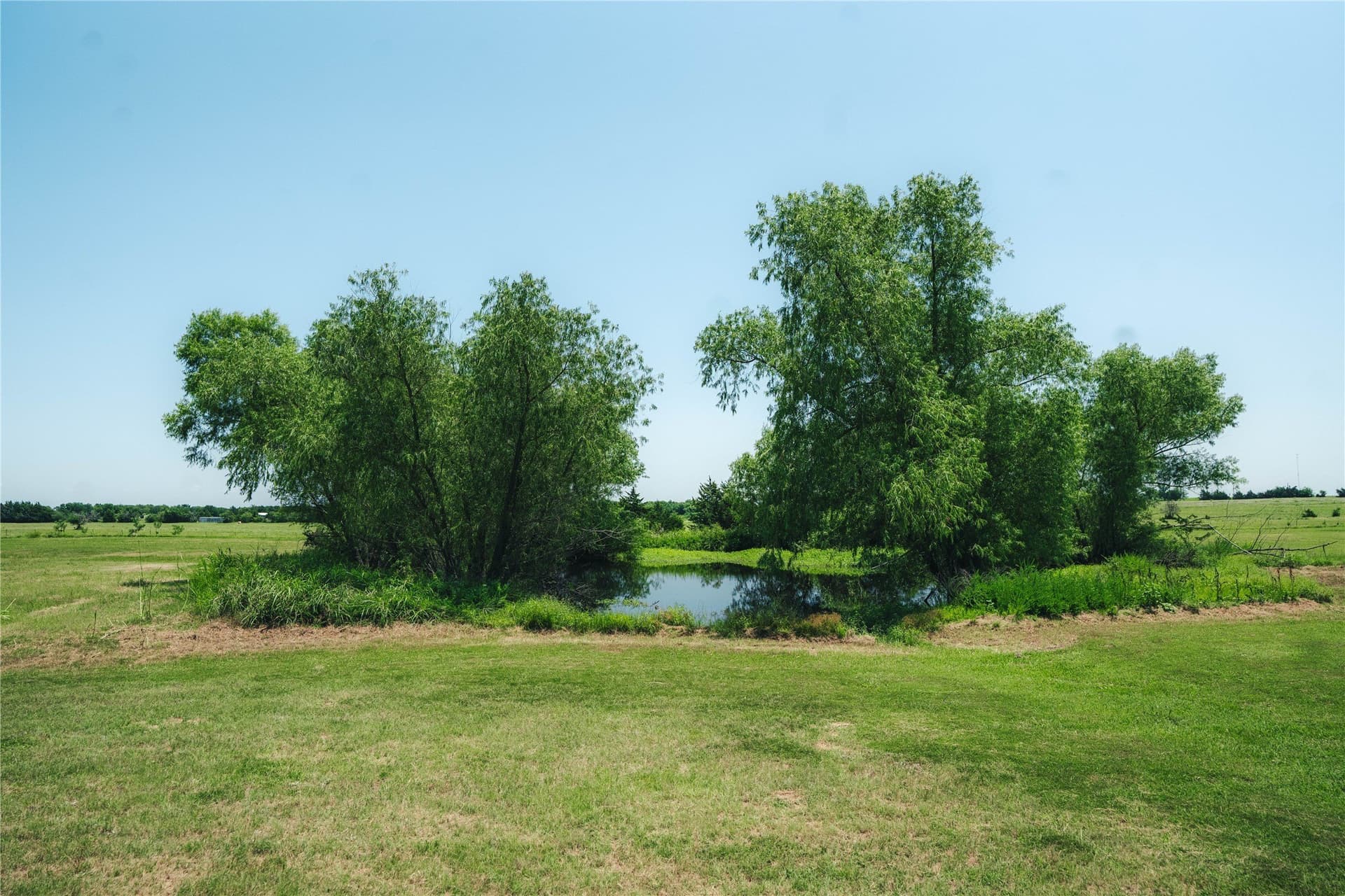 20 acres in Grayson County - photo 29