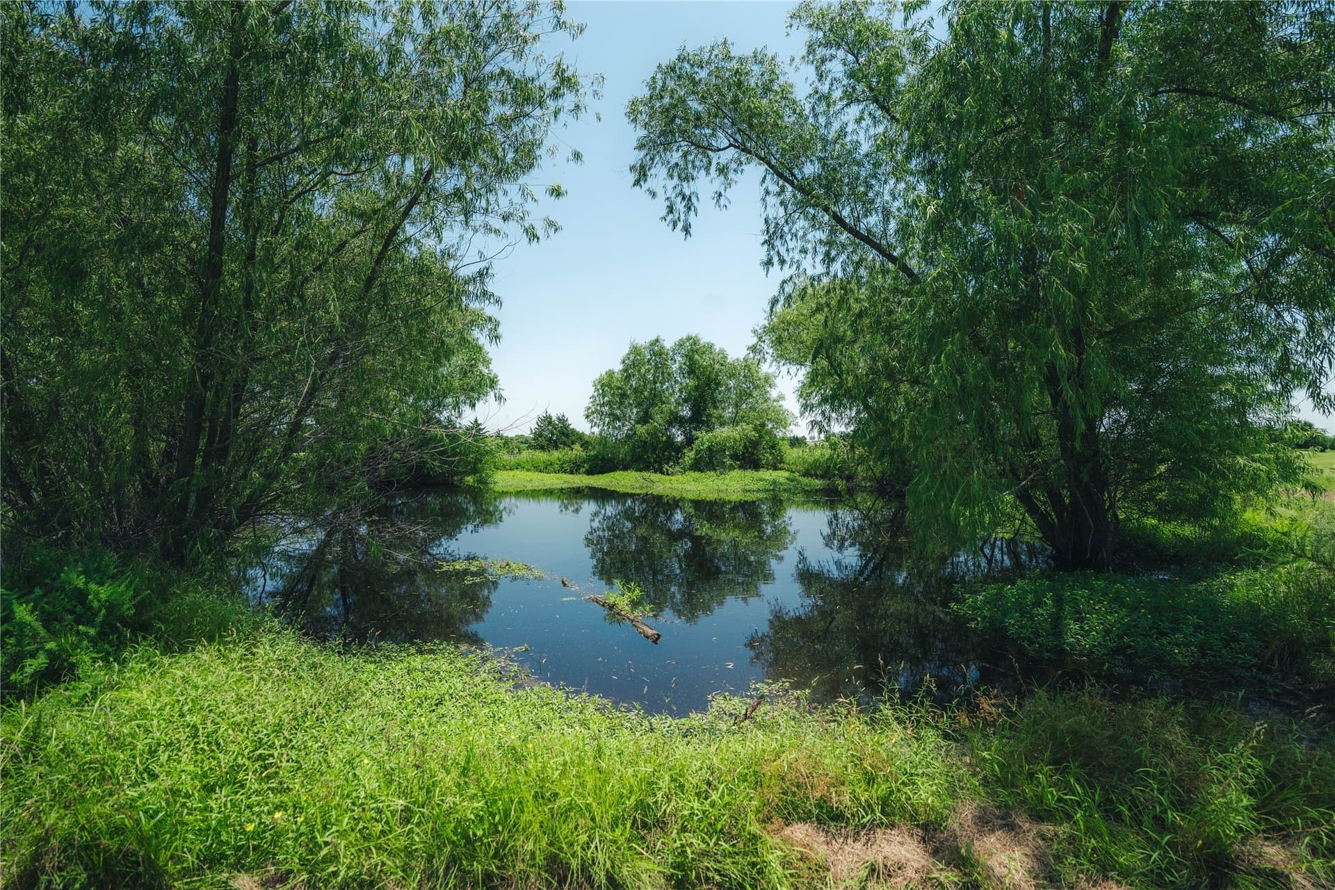 20 acres in Grayson County - photo 30