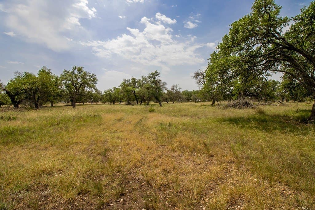 22.3 acres in Gillespie County gallery image 4