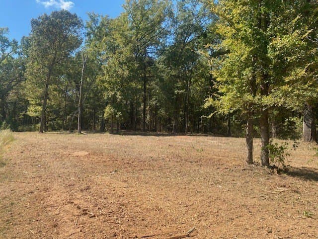 3.21 acres in Camp County - photo 4
