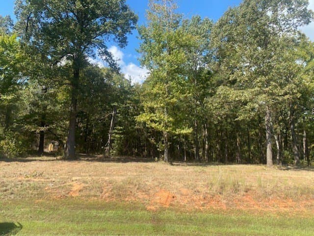 3.21 acres in Camp County - photo 2