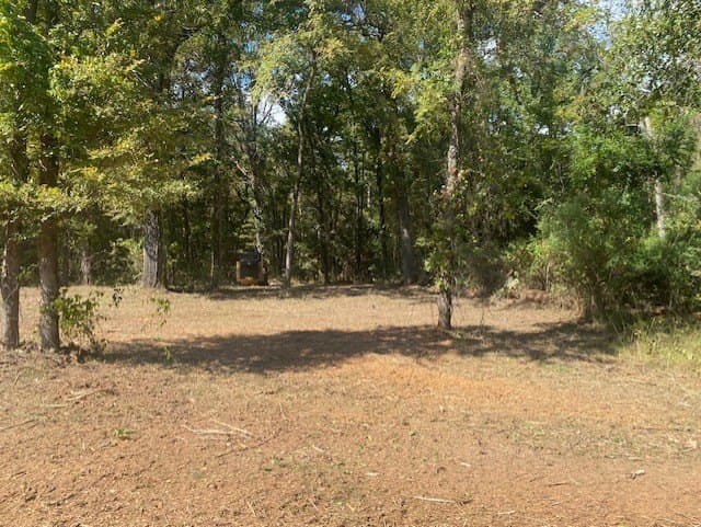 3.21 acres in Camp County - photo 3