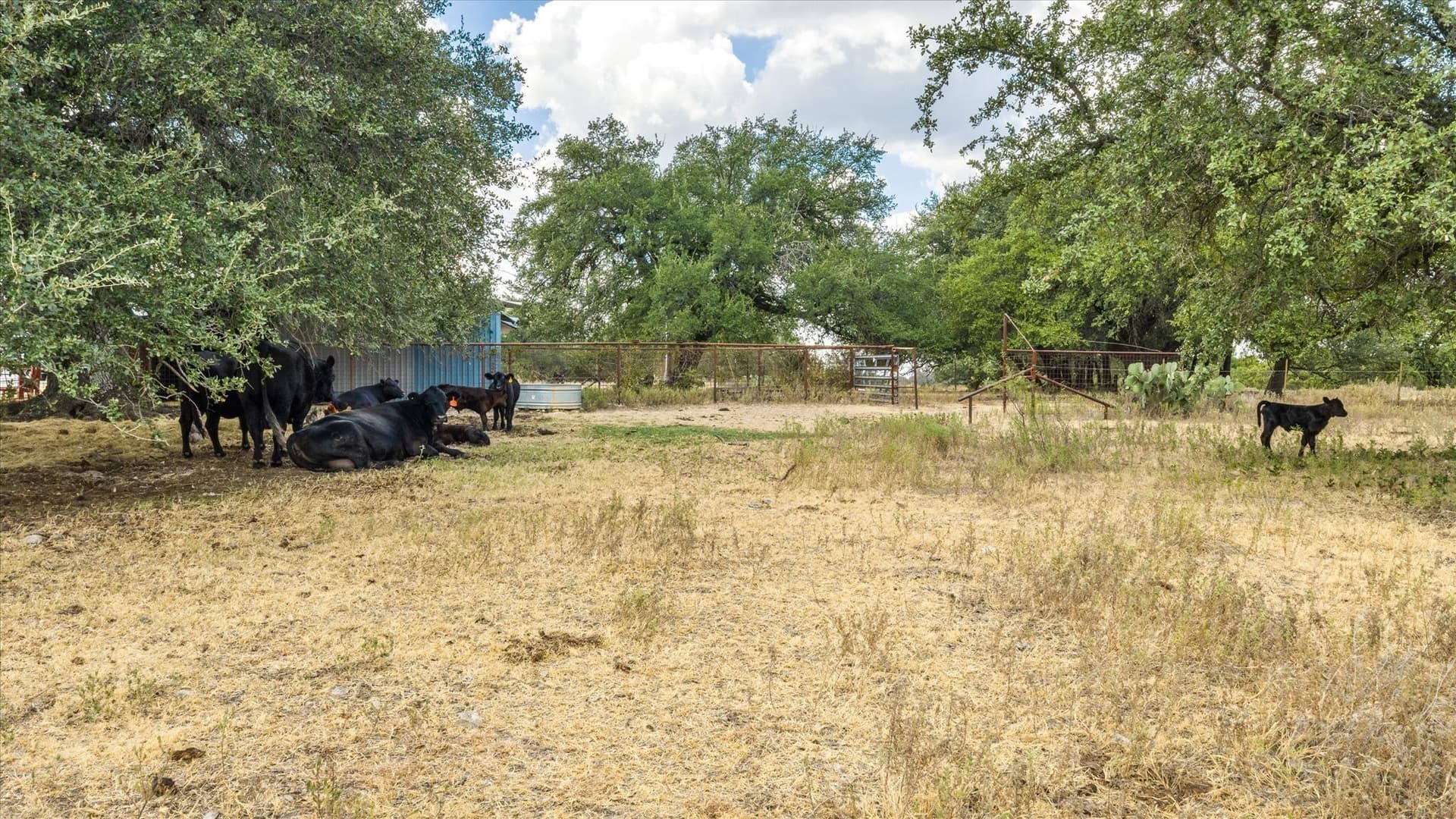 50 acres in Somervell County - photo 11