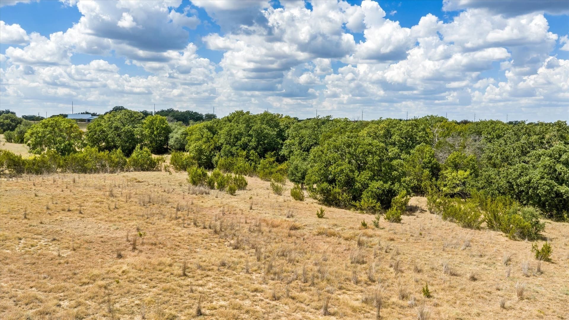 50 acres in Somervell County - photo 15
