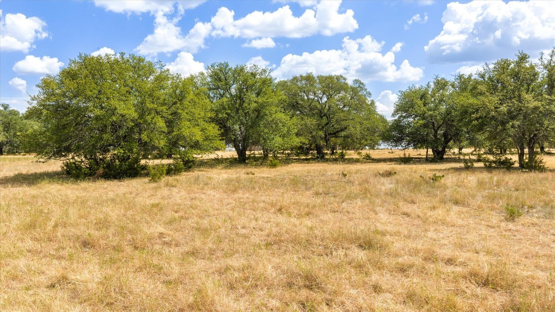 50 acres in Somervell County - photo 10