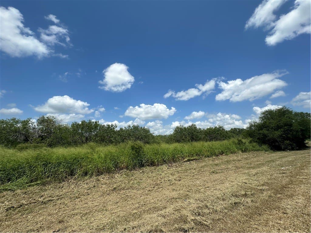 2.06 acres in Bee County gallery image 3