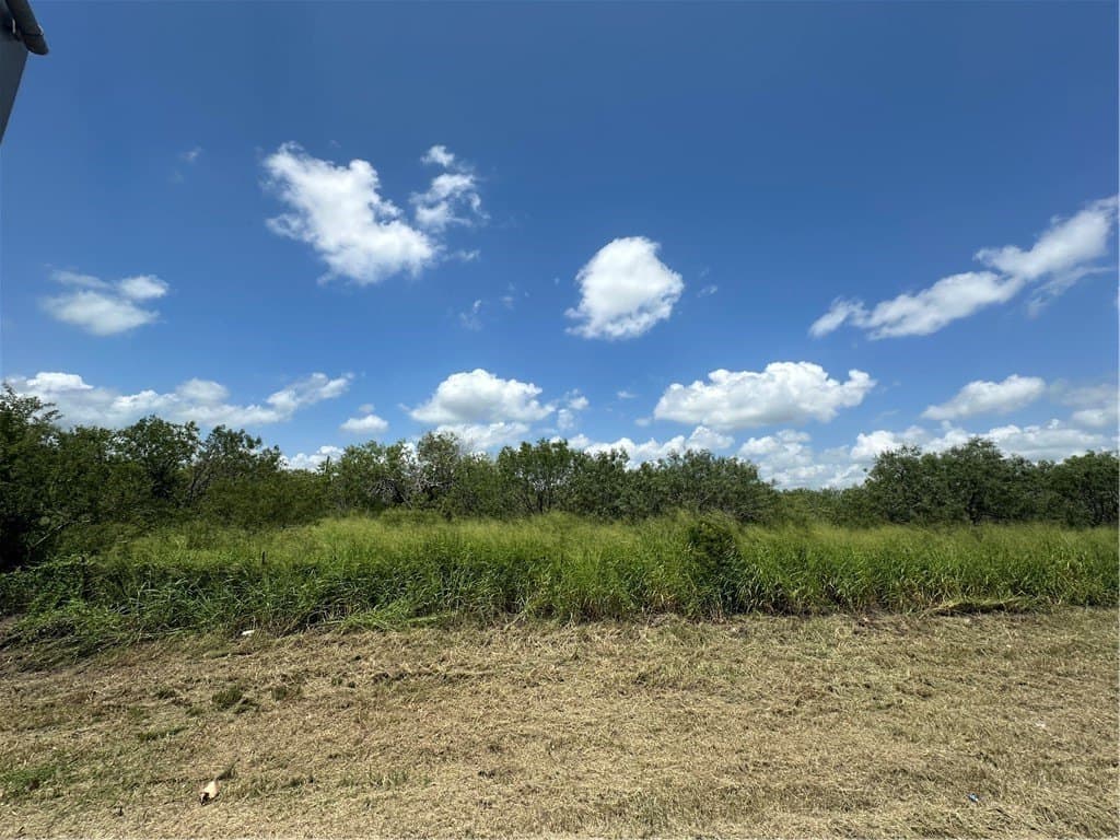 2.06 acres in Bee County gallery image 2
