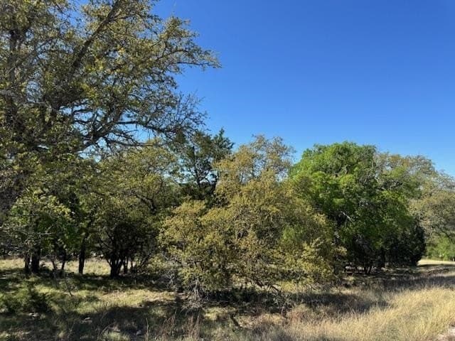 0.25 acres in Llano County - photo 17