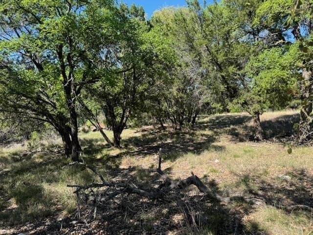 0.25 acres in Llano County - photo 8