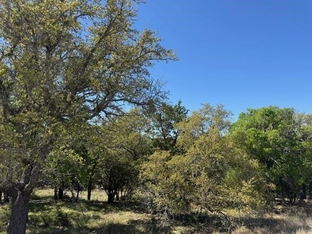 0.25 acres in Llano County - photo 18
