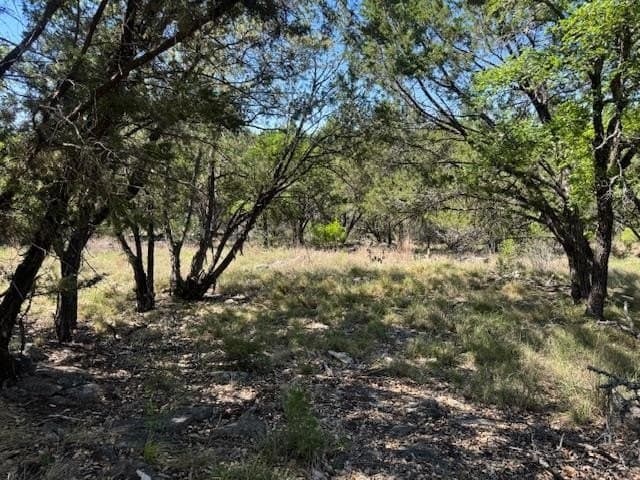 0.25 acres in Llano County gallery image 3