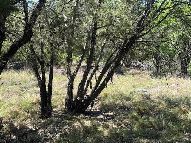 0.25 acres in Llano County - photo 14