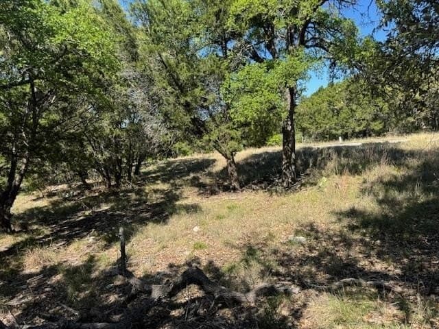 0.25 acres in Llano County - photo 9