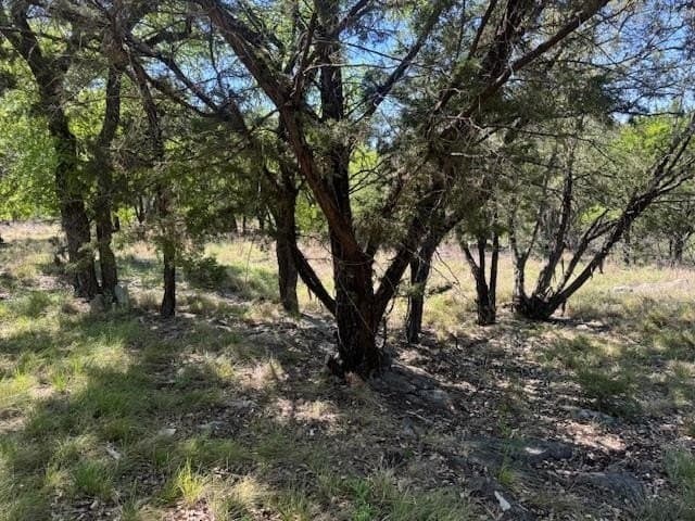 0.25 acres in Llano County gallery image 4