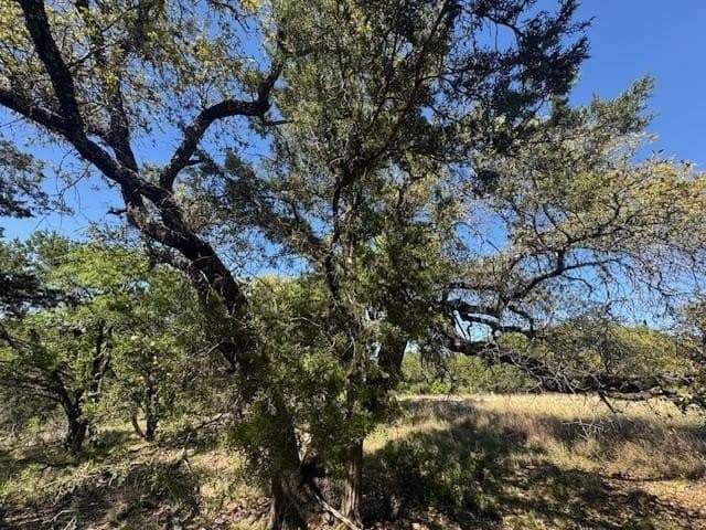 0.25 acres in Llano County - photo 15
