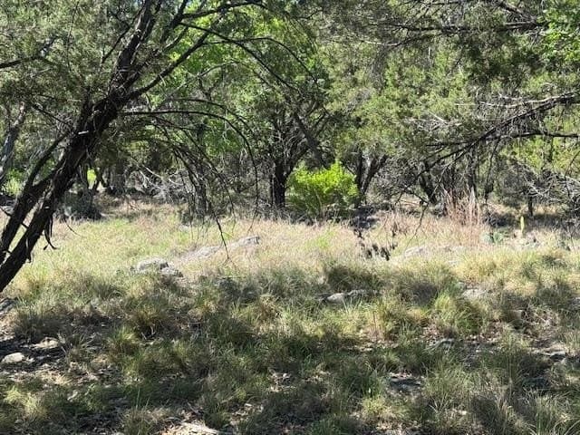 0.25 acres in Llano County - photo 12