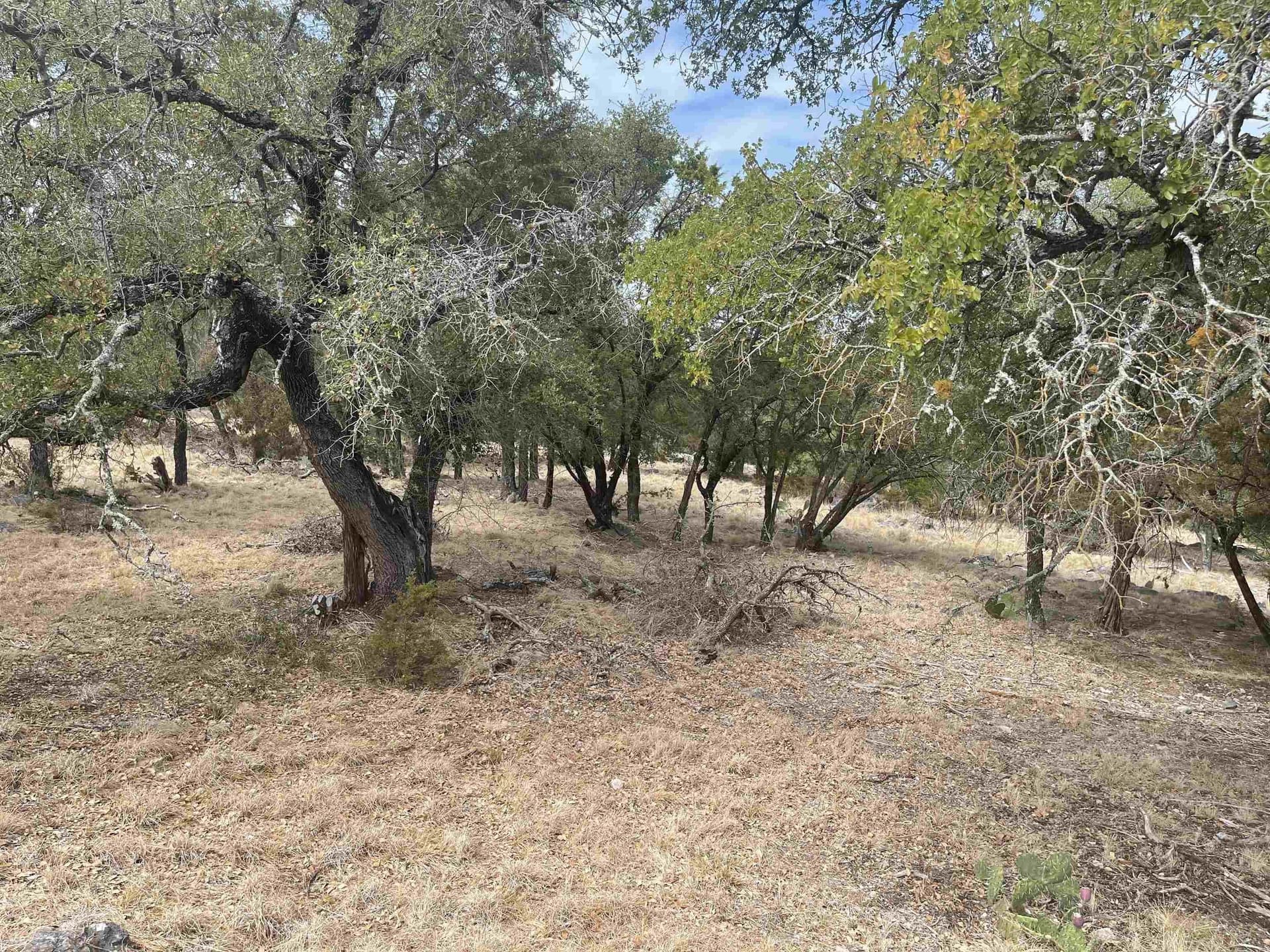 0.25 acres in Llano County gallery image 2