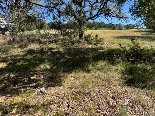 0.25 acres in Llano County - photo 10
