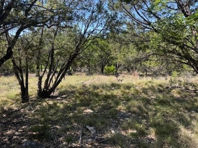 0.25 acres in Llano County - photo 11
