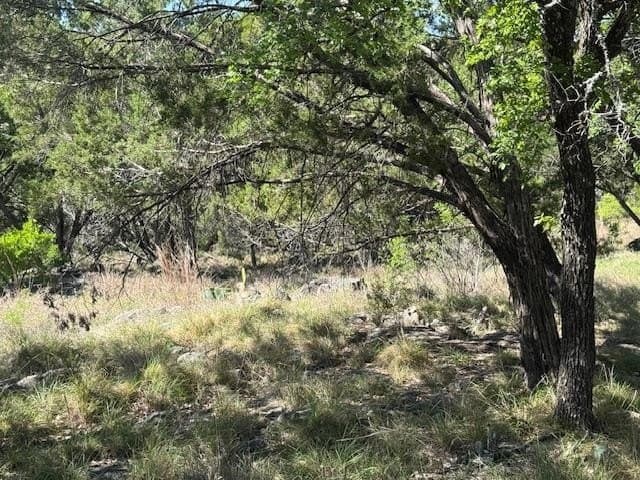 0.25 acres in Llano County - photo 13