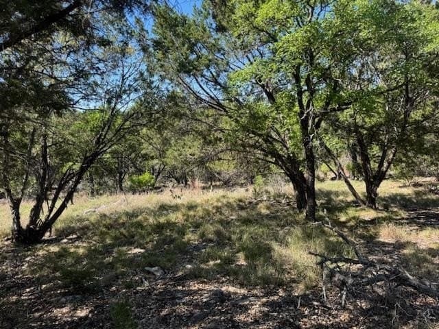 0.25 acres in Llano County - photo 6