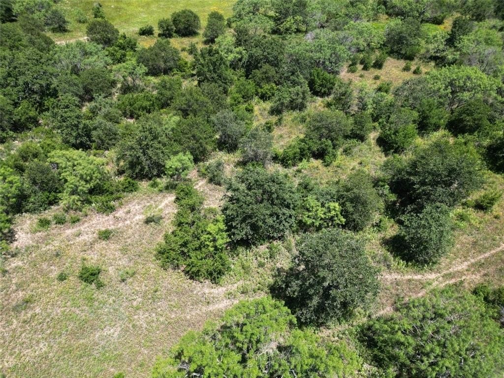 133.31 acres in Callahan County gallery image 4