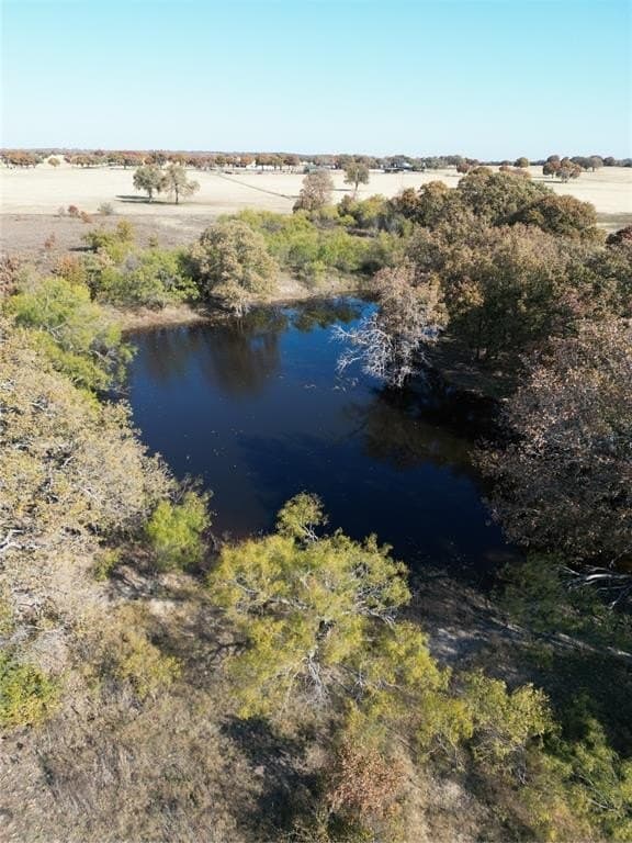 133.31 acres in Callahan County gallery image 3