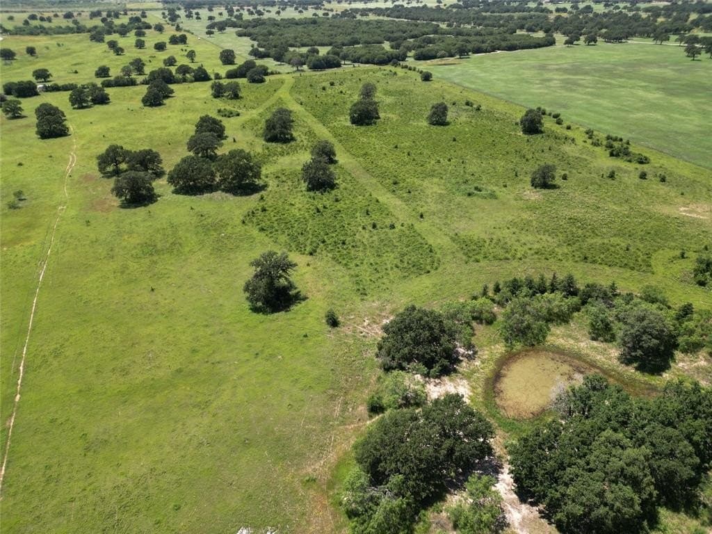133.31 acres in Callahan County featured view